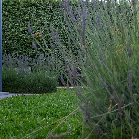 The Jolie - A Retreat In The In An Entire House * Funchal (Madeira)