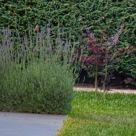 The Jolie - A Retreat In The In An Entire House Дом отдыха *