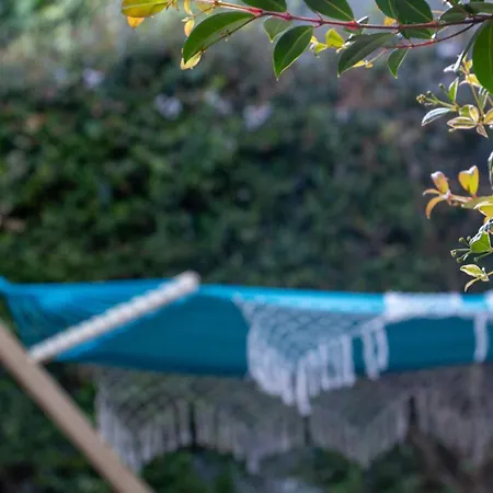 The Jolie - A Retreat In The In An Entire House Дом отдыха Фуншал