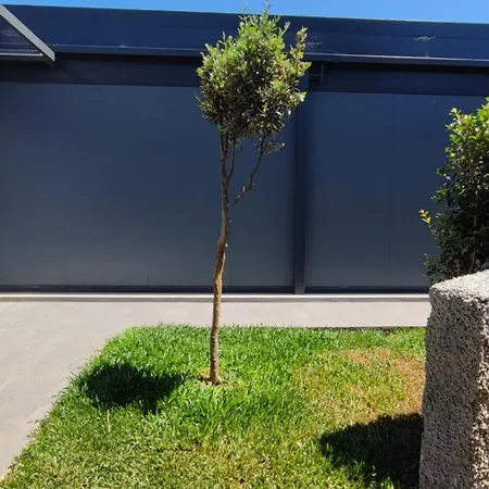 Дом отдыха The Jolie - A Retreat In The In An Entire House