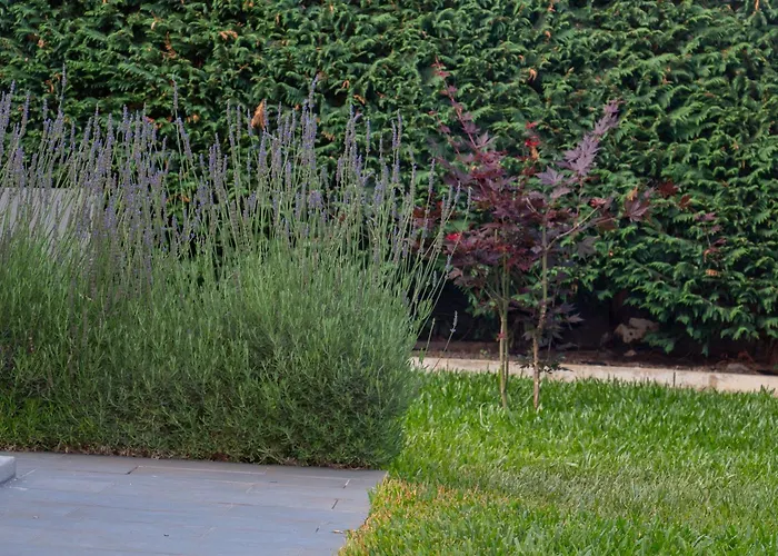 The Jolie - A Retreat In The In An Entire House Casa vacanze *