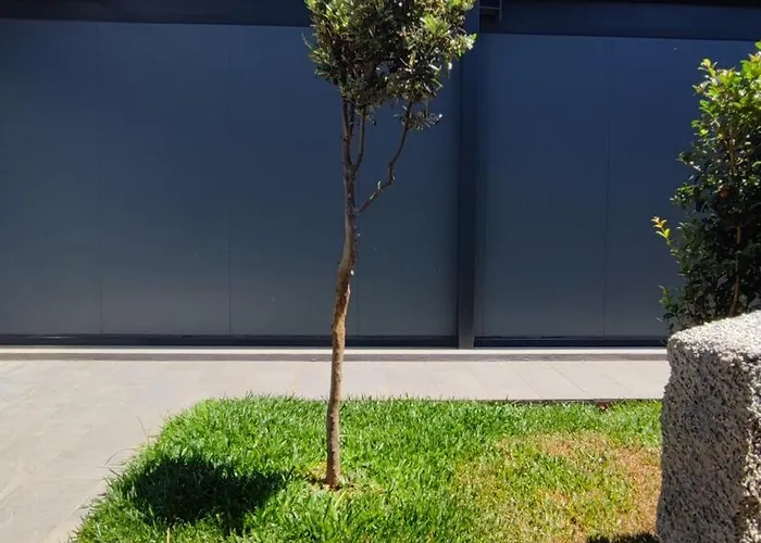 Casa vacanze The Jolie - A Retreat In The In An Entire House