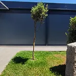بيت للعطل The Jolie - A Retreat In The In An Entire House